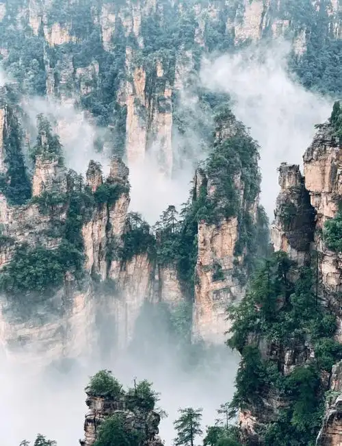 计划去张家界旅游五天四晚怎么玩张家界旅游这些景点必去