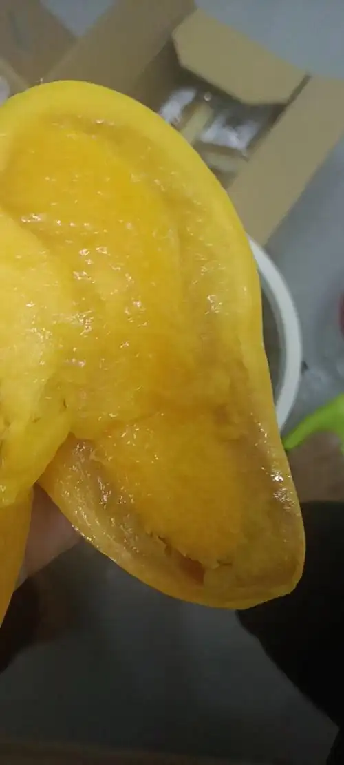 邮政快递投递问题导致整箱芒果腐烂多次打电话投诉无果