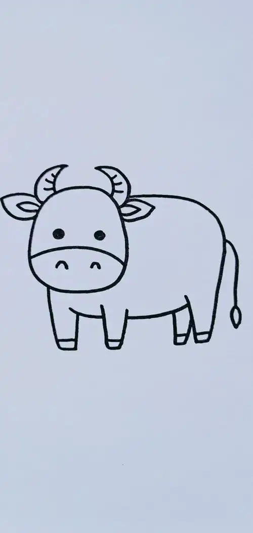 小牛简笔画