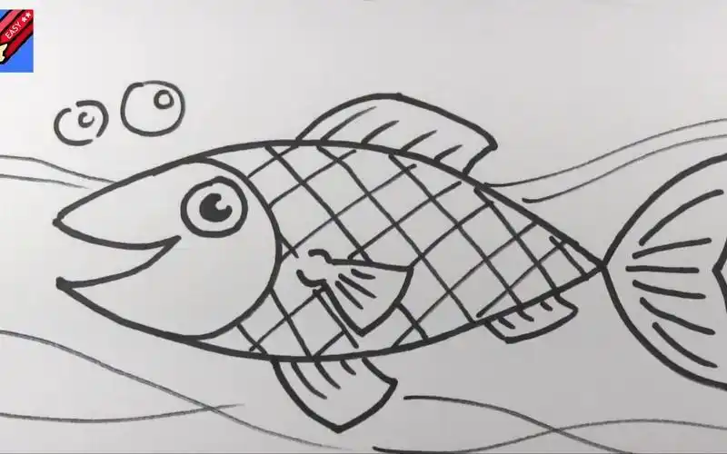 【简笔画】如何画一条鱼!非常容易!-母婴亲子视频-搜狐视频