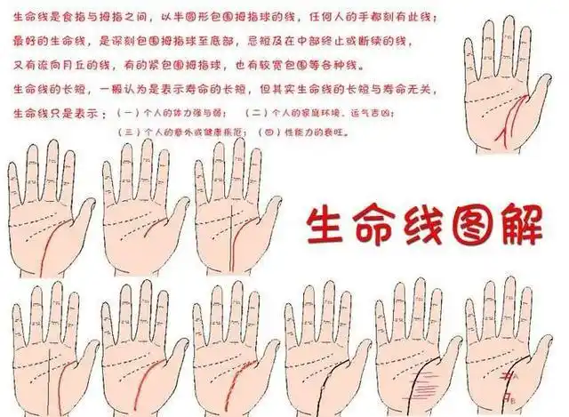 什么是断掌?"断掌一条线,富贵不相欠",老话这样说是什么意思