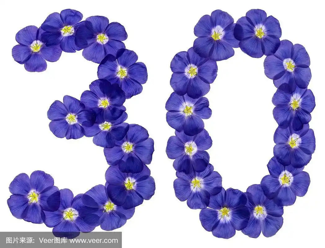阿拉伯数字30,30,亚麻蓝花,孤立在白色背景上