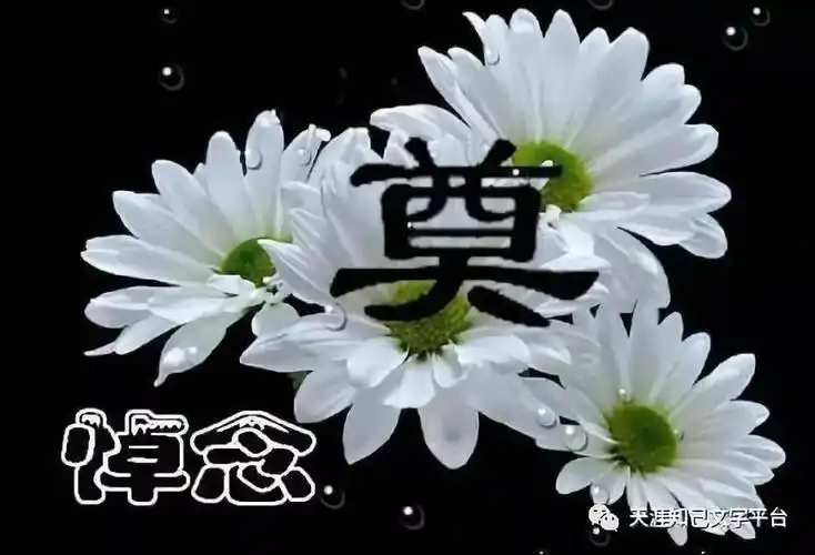 飘斐雷梦洋诗歌一路走好第907期图文3