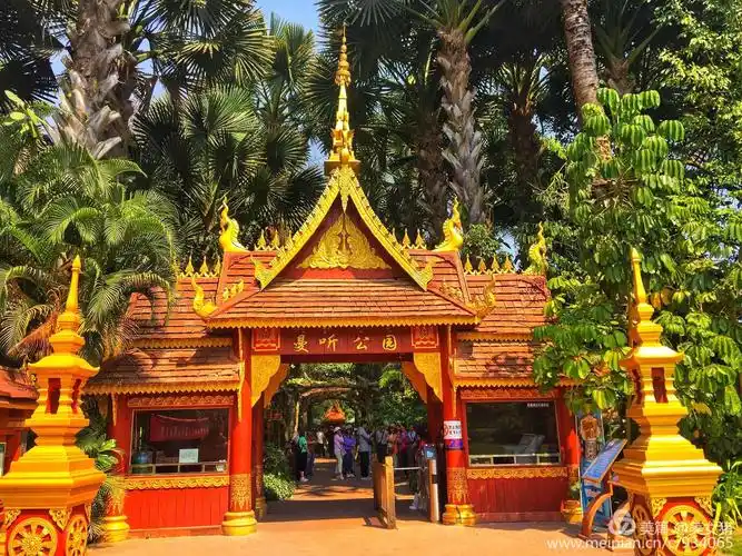 旅行记忆之西双版纳景洪曼听公园