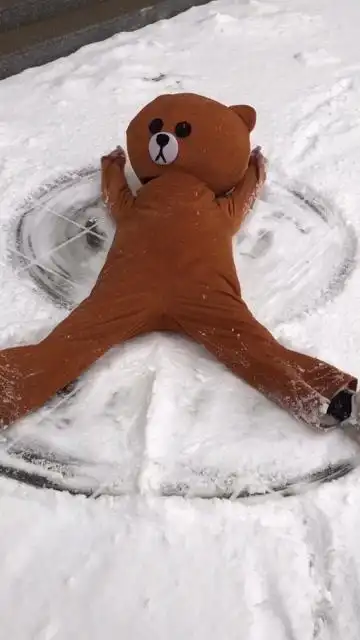 搞笑熊,你在干嘛