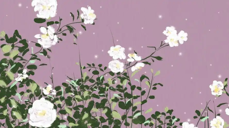 电脑壁纸 手绘 艺术壁纸 ins风可爱少女心油画质感手绘