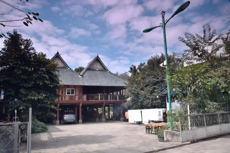 春节 西双版纳 橄榄坝