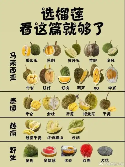 榴莲的叶酸含量是苹果的30倍