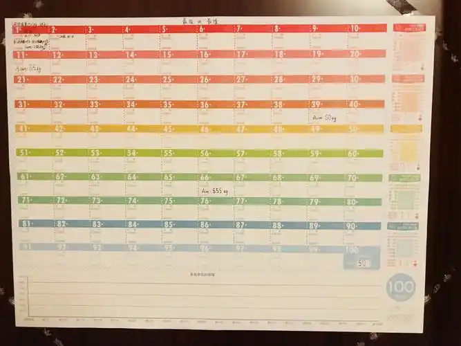 100天打卡表,希望自己完成任务