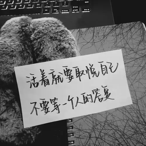 背景by快手肥婷 二传注明