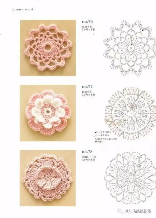 图解上百种钩针单元花