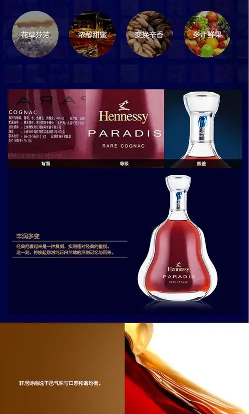 法国原瓶原装进口轩尼诗百乐廷干邑xov0020009