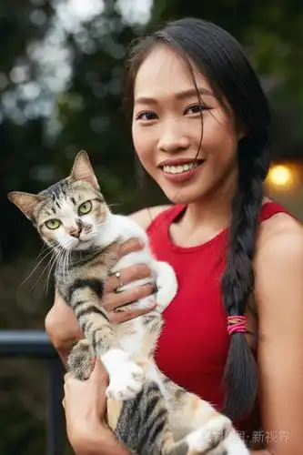 人和动物美丽的亚洲妇女与猫