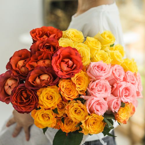 乐作flora|鲜花云南直发混色玫瑰rainbow随机混搭1扎顺丰空运包邮