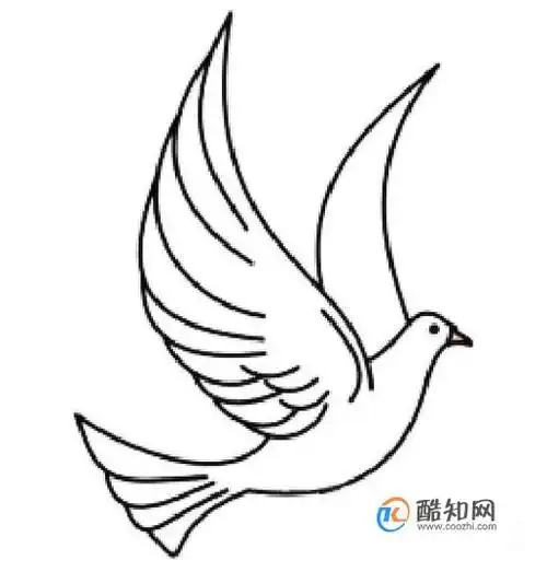 白鸽简笔画怎么画_酷知经验网