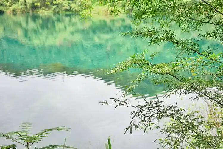 中国湖南省郴州市小东江山水竹林风景_高清图片_全景视觉