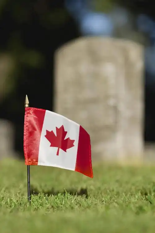 无人,竖图,室外,特写,白天,正面,草地,草坪,植物,旗帜,国旗,叶子,一面