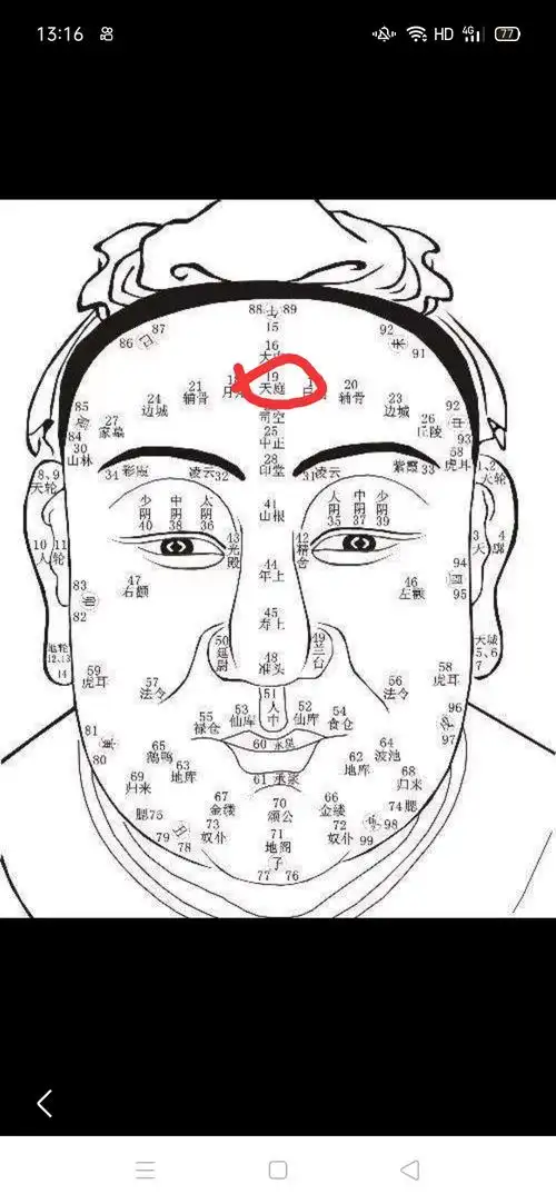 面相天庭面相图解