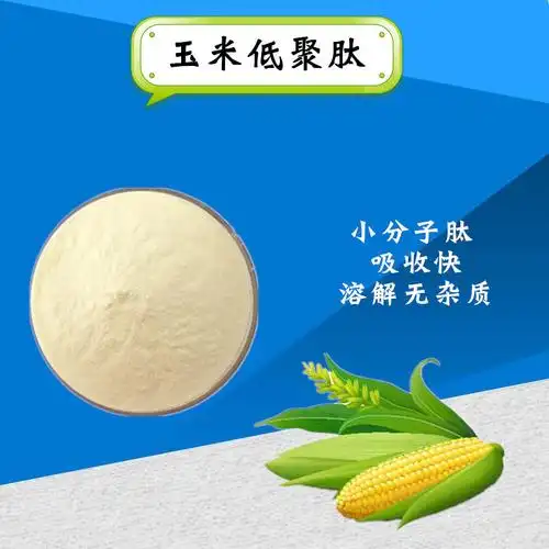 玉米肽 玉米低聚肽 玉米肽粉 小分子肽1kg/袋  现货供应
