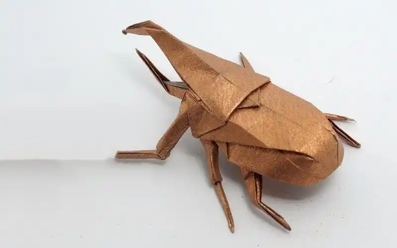 折纸王子帮你找图解神谷独角仙