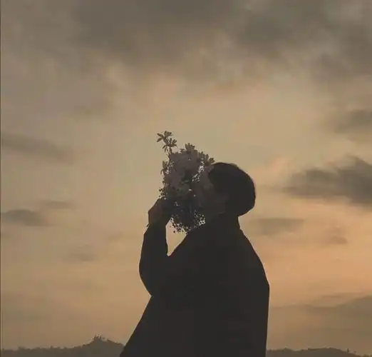 高清图片,堆糖,美图壁纸兴趣社区