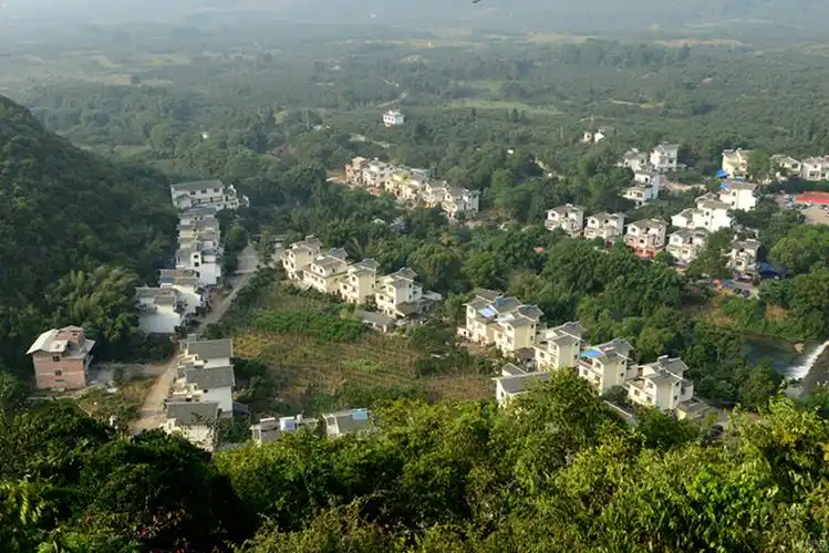 桂林深处红岩村——满山偏野的柿子熟了,四面八方的游客来了!