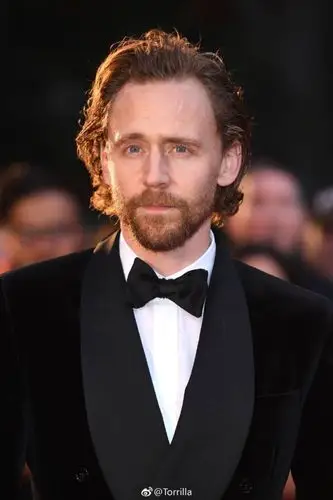 汤姆希德勒斯顿抖森