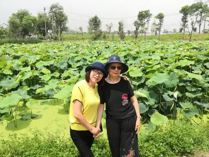 2018年6月带着妈妈去旅行(一)