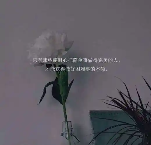 关于不被珍惜失望伤心的短句文案 | 三克猫