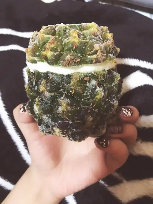菠萝冰淇淋