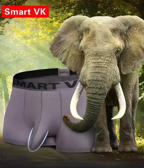 男士3件装大象款莫代尔内裤