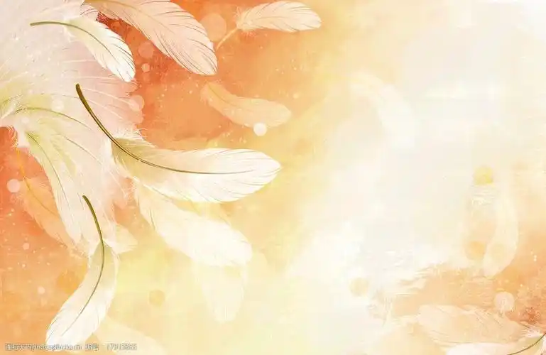 唯美羽毛psd分层素材图片