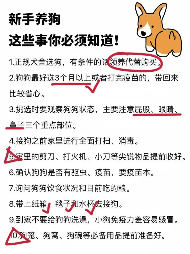 新手养狗.新手铲屎官准备接狗 - 抖音