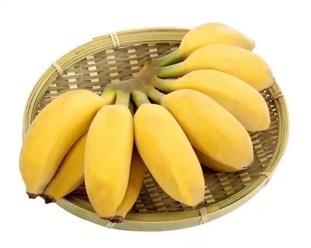 像苹果蒂,但仔细看又不是粉蕉 原来这是一种名为"苹果蕉"的新品种香蕉