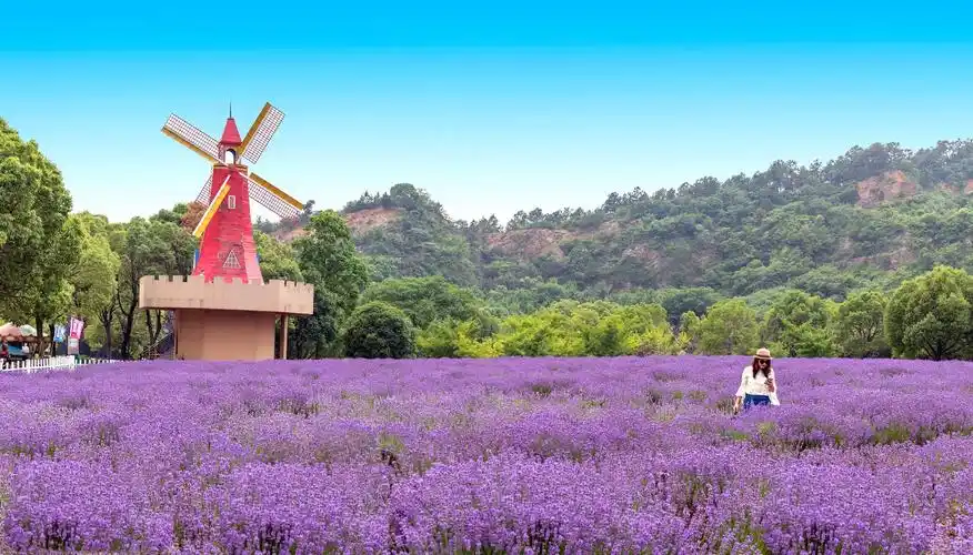 雪浪山薰衣草庄园 2020.5.26 - 美篇