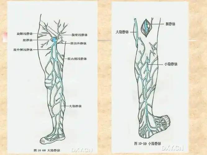激光微创治疗下肢静脉曲张疗效好!——许昌市中医院外二科! - 美篇