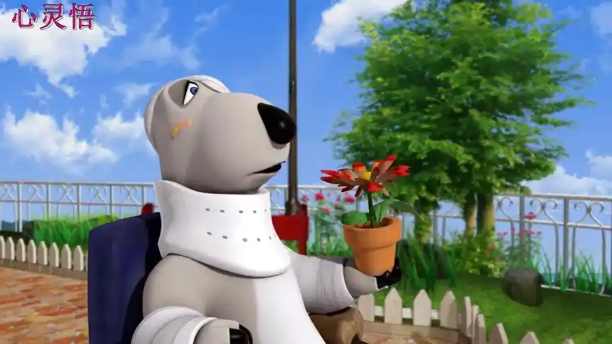 倒霉熊全集 10为了一盆花,导致受伤做轮椅.轮椅也放不过自己