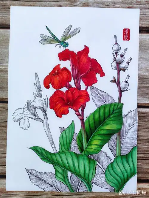 美人蕉马克笔绘画线描装饰画插画原创 大观园的美人蕉.