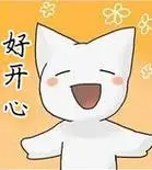 好开心 - 小萌猫表情_猫星人_卡通表情