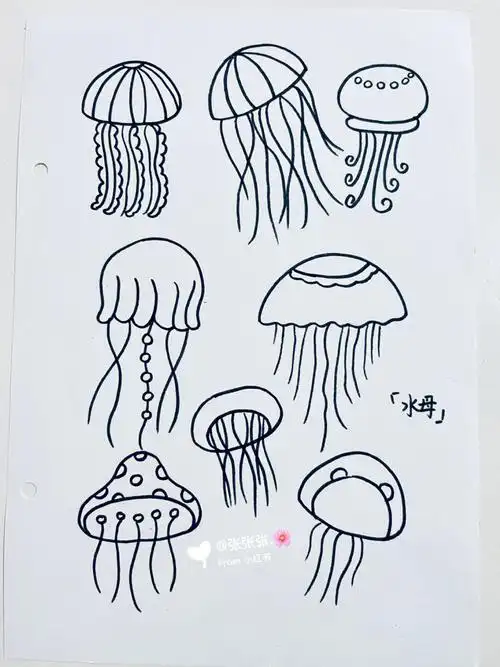 简笔画水母040404