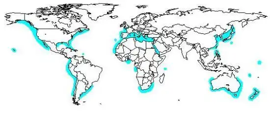 已提到"食人鲨"又称大白鲨,主要栖息地是北美,南非和澳大利亚南部海域