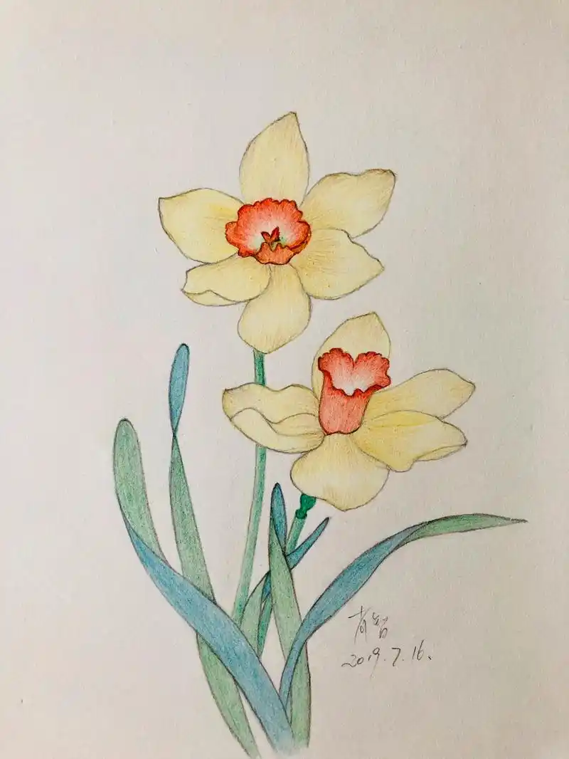 8k素描纸 辉柏嘉60色水溶性红盒