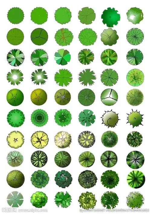 植物 树 平面 贴图