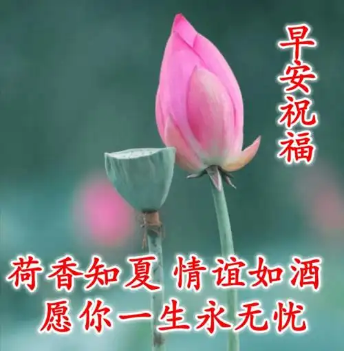 微信朋友圈特漂亮的早上好图片早上好问候句子