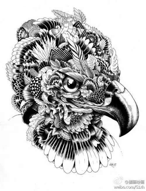 超酷的黑白手绘动物插画英国插画师iainmacar