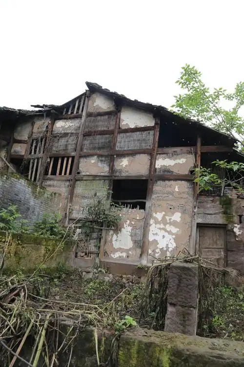 川东民居——岳池县裕民镇彭家场老院子