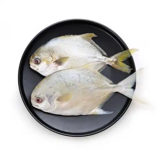 水巷口 原条金鲳鱼700g(2条装)【行情 报价 价格