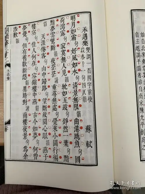 词谱清康熙时陈廷敬王奕清等奉康熙命编写以万树词律为基础纠正错漏并