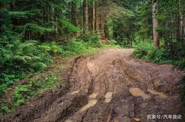 资深老司机分享开车过泥坑一把成秘诀!实用度爆表!