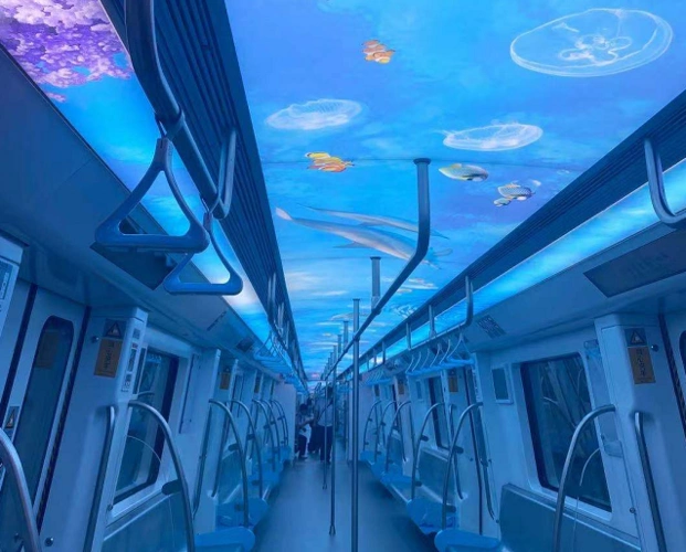 惊艳!厦门地铁3号线主题列车亮相,乘地铁游"海底世界"和"美丽厦门"!